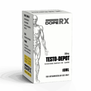 TESTO DEPOT